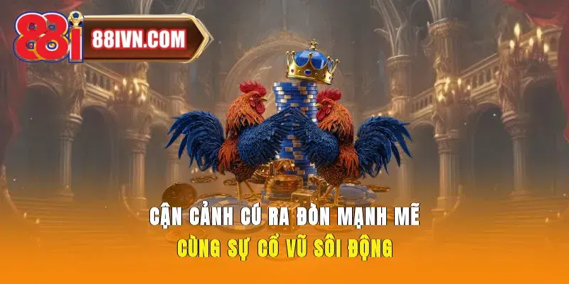 Cận cảnh cú ra đòn mạnh mẽ cùng sự cổ vũ sôi động